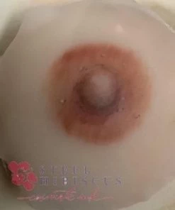 A.R.T Paramedical Kits Areola Tattoo Practice