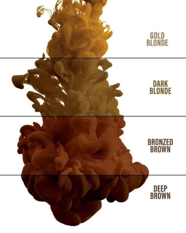 Evenflo X Perma Blend - BRONZED BROWN 2 Evenflo X Perma Blend - BRONZED BROWN