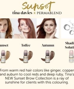 Tina Davies X Perma Blend - Sunset Collection Ink & Pigment